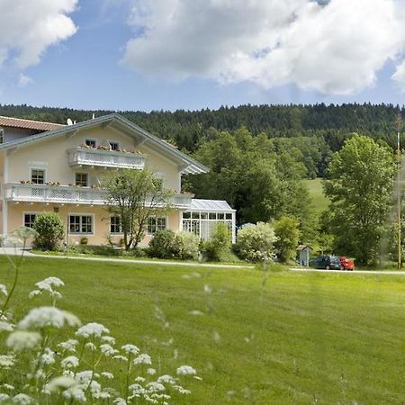 Landgasthof Zum Hirschenstein, Pension Garni Sankt Englmar Exterior photo